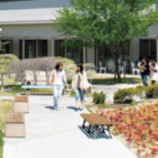 Smoke-free Campus